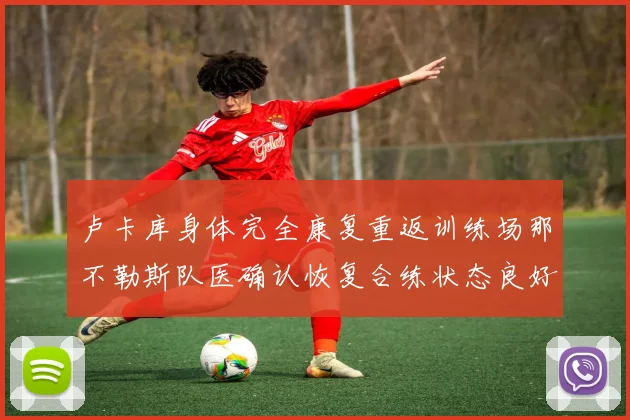 卢卡库身体完全康复重返训练场那不勒斯队医确认恢复合练状态良好