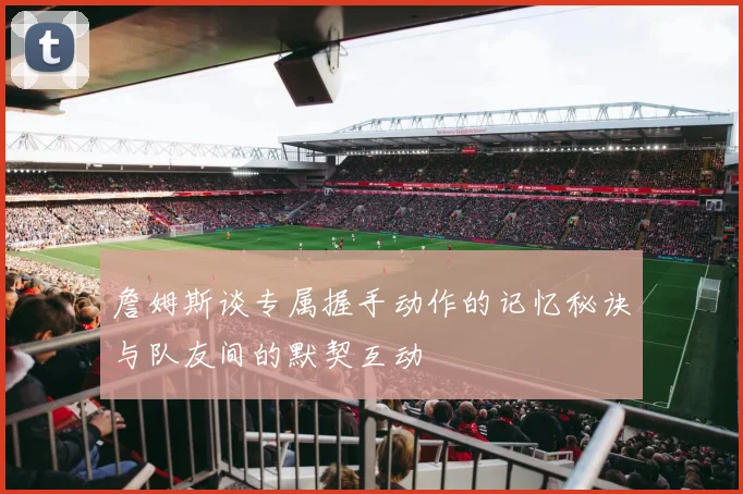 詹姆斯谈专属握手动作的记忆秘诀与队友间的默契互动